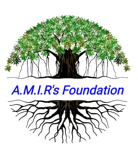 A.M.I.R's Foundation logo